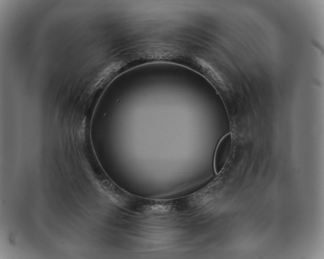 X0000091460163200708231324