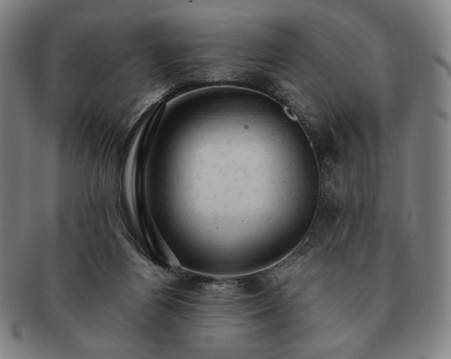 X0000091460164200708231324