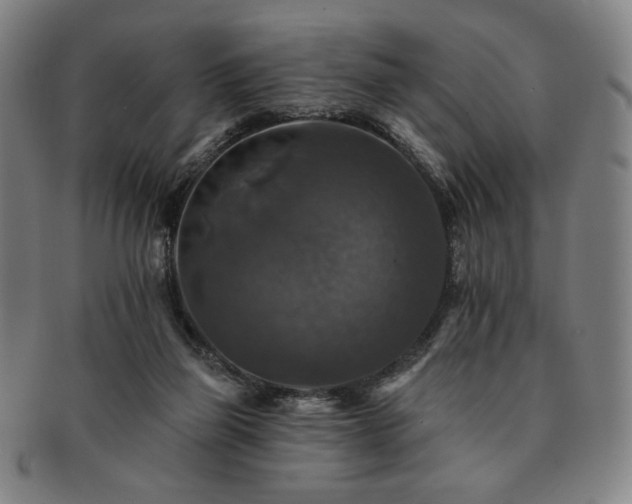 X0000091460165200708231324