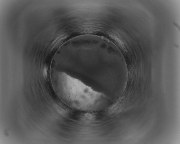 X0000091460166200708231324