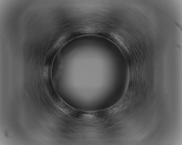 X0000091460167200708231324