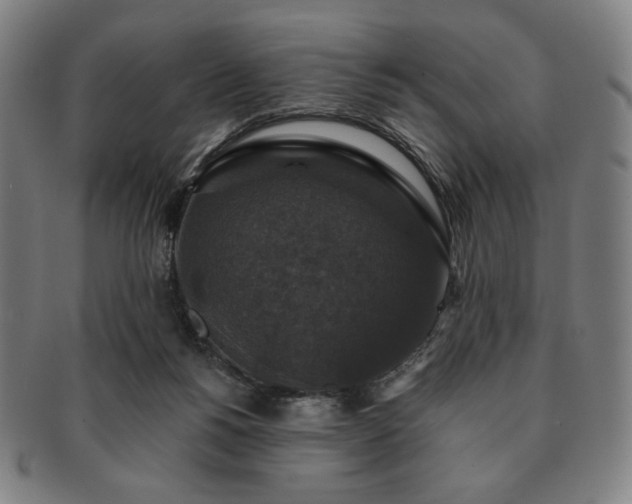 X0000091460168200708231324