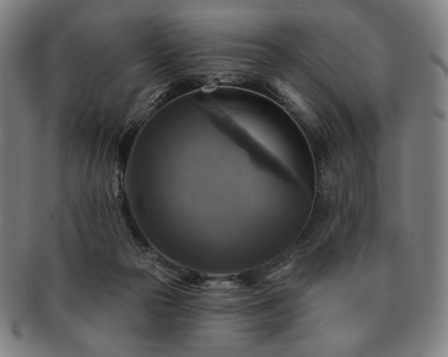 X0000091460169200708231324