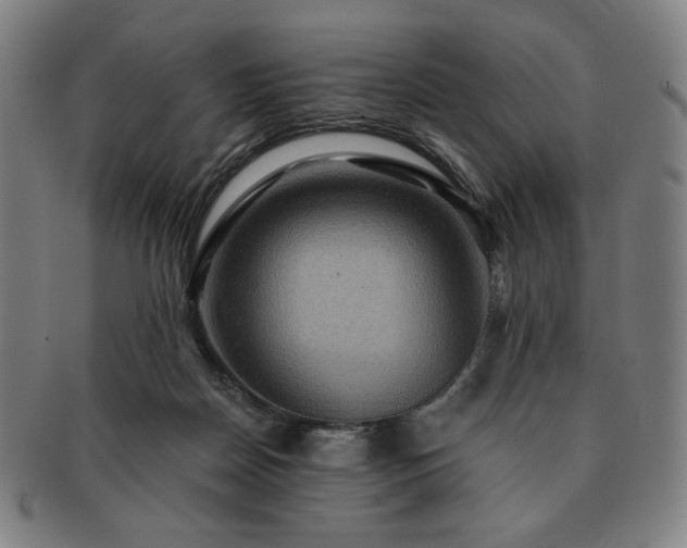 X0000091460170200708231324