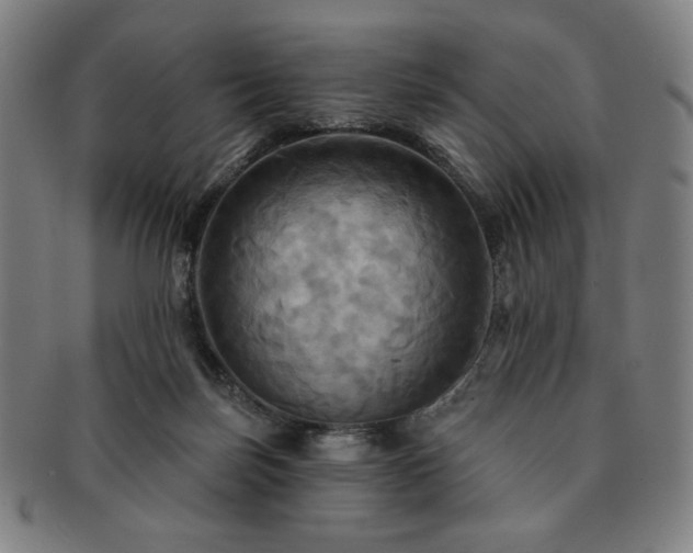 X0000091460171200708231324