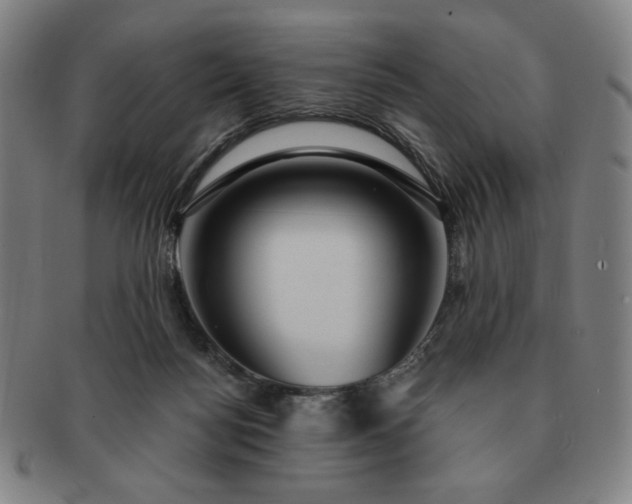 X0000091460172200708231324