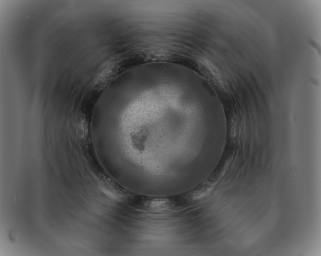 X0000091460173200708231324