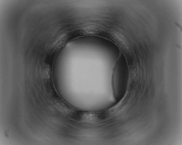 X0000091460174200708231324