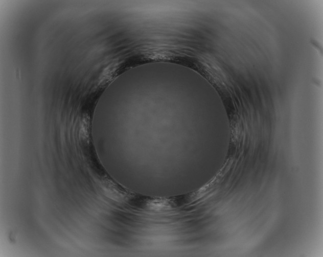 X0000091460175200708231324