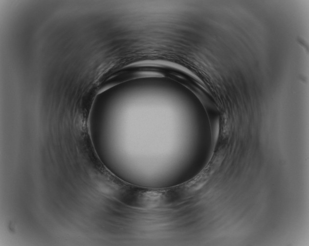 X0000091460176200708231324