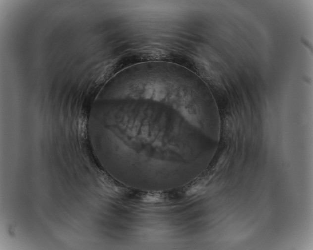 X0000091460177200708231324