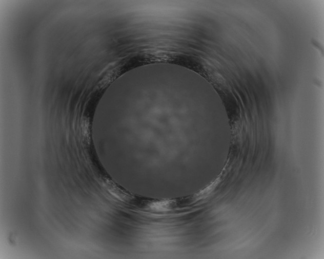 X0000091460178200708231324