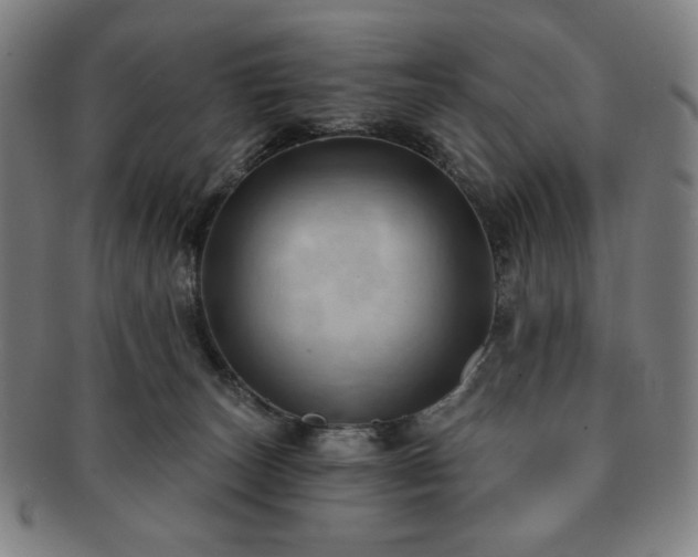 X0000091460179200708231324