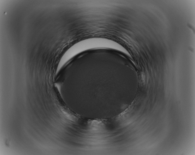 X0000091460180200708231324