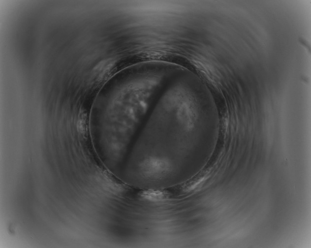 X0000091460181200708231324