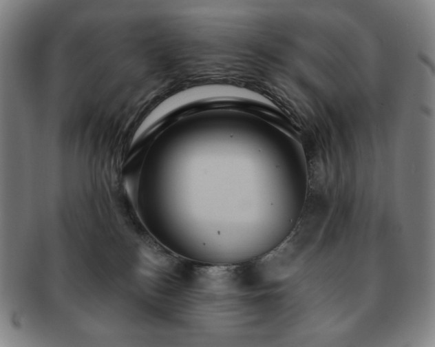 X0000091460184200708231324