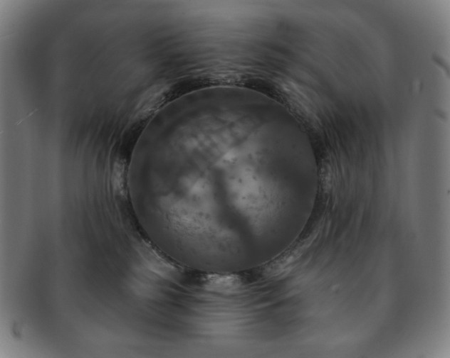 X0000091460185200708231324