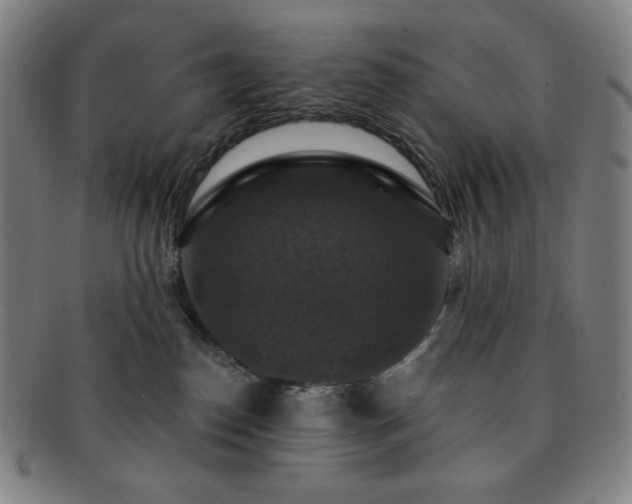 X0000091460186200708231324