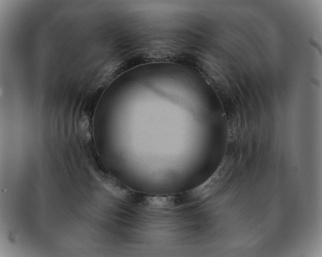 X0000091460187200708231324