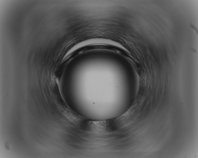 X0000091460188200708231324