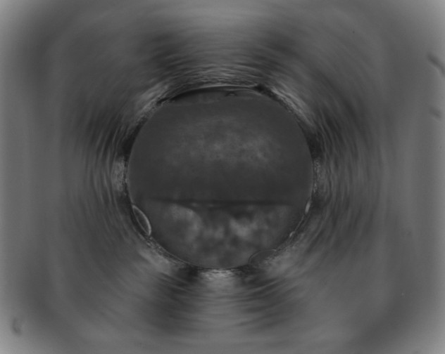 X0000091460189200708231324