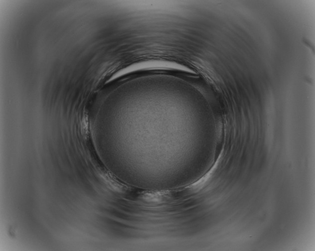 X0000091460190200708231324