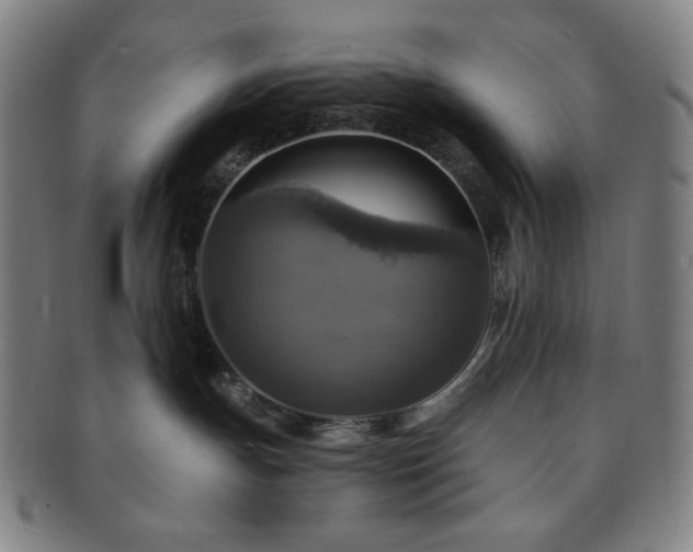 X0000091460191200708231324