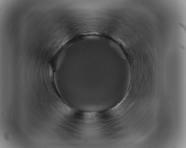 X0000091460192200708231324