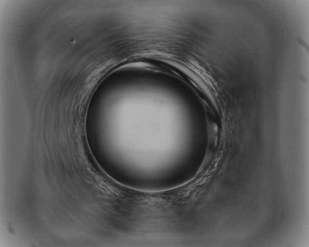 X0000091460193200708231324