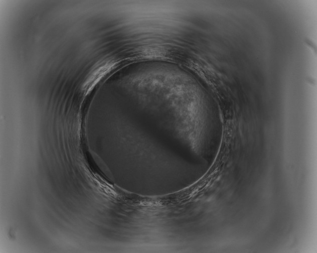 X0000091460194200708231324