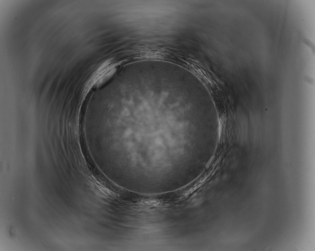 X0000091460195200708231324