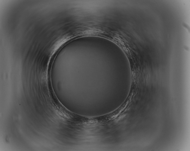 X0000091460196200708231324