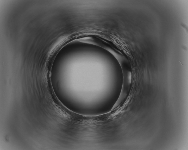 X0000091460197200708231324