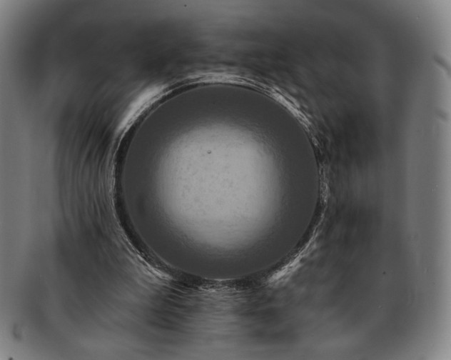 X0000091460199200708231323