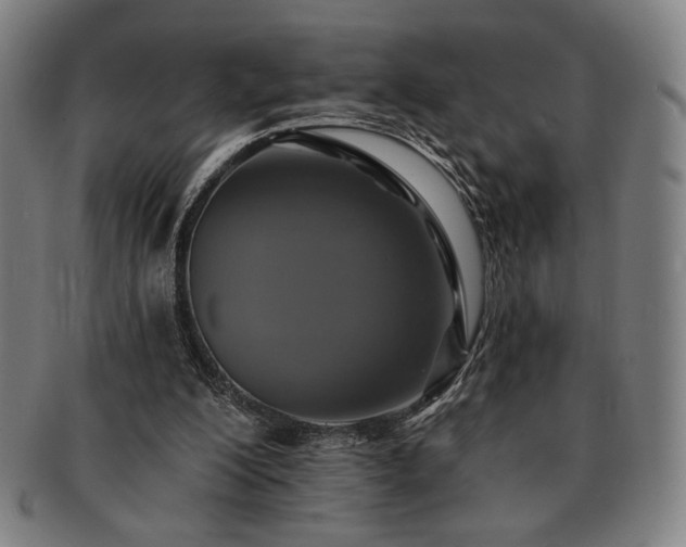 X0000091460200200708231323