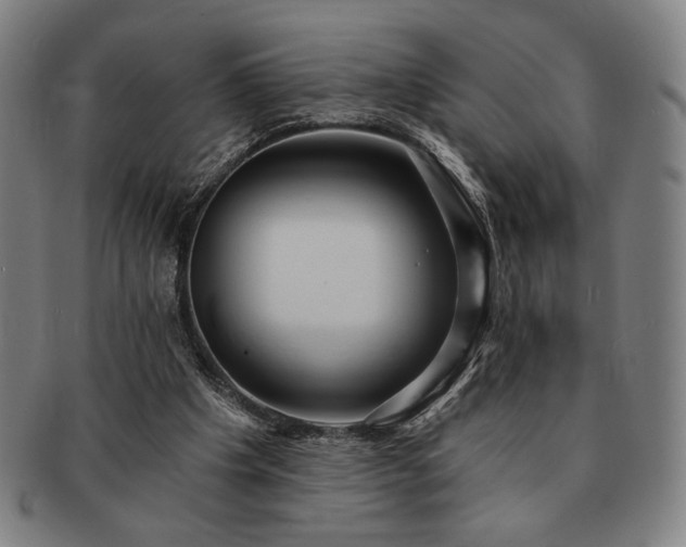 X0000091460201200708231323