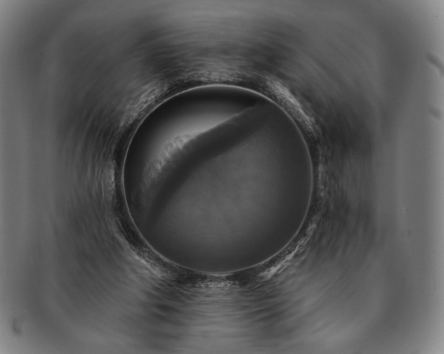 X0000091460202200708231323