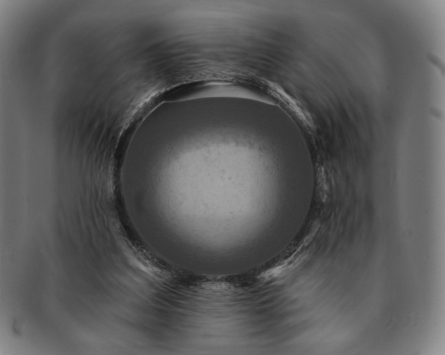 X0000091460203200708231323