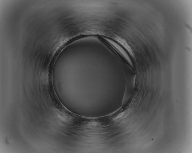 X0000091460204200708231323