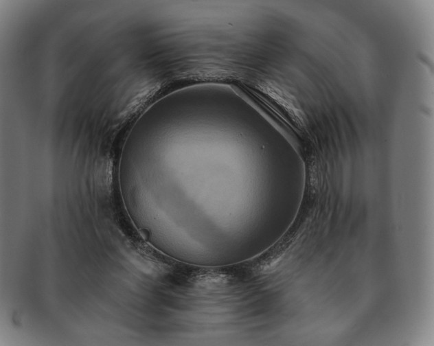 X0000091460206200708231323