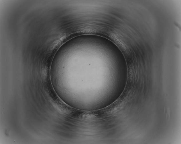 X0000091460208200708231323