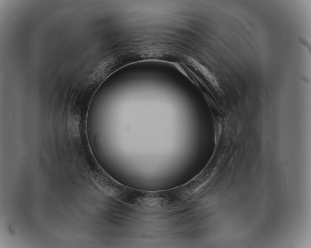 X0000091460209200708231323