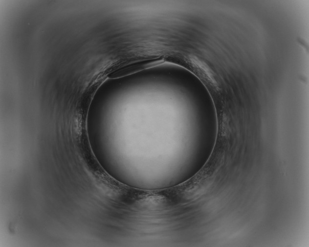 X0000091460210200708231323