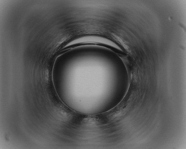 X0000091460211200708231323