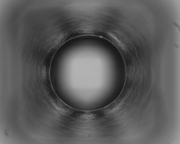 X0000091460213200708231323