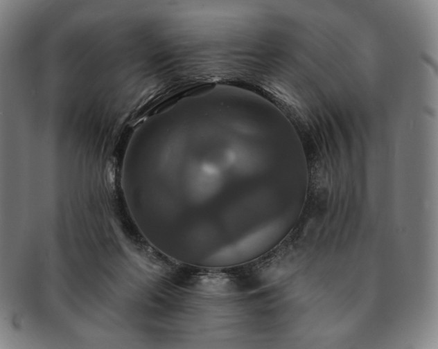 X0000091460214200708231323