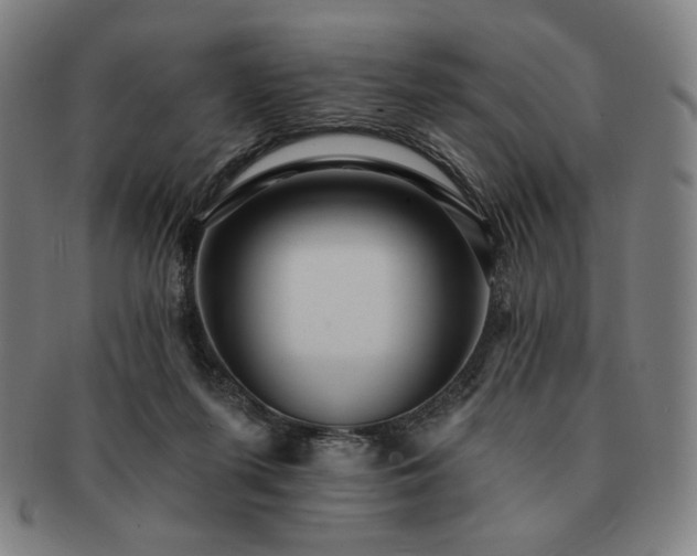 X0000091460215200708231323