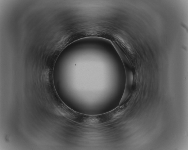 X0000091460217200708231323