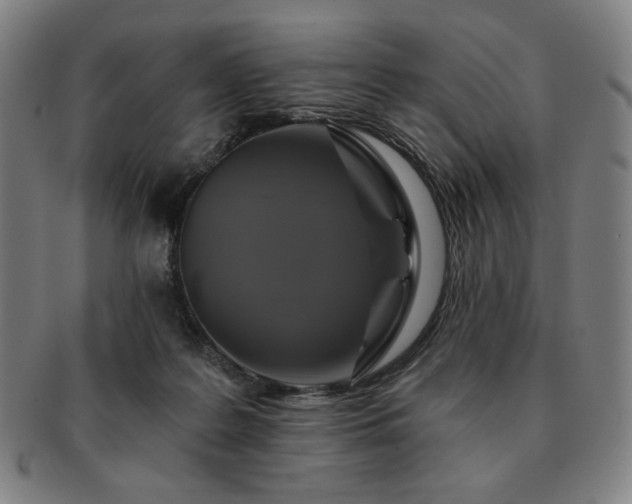 X0000091460219200708231323