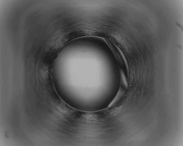 X0000091460221200708231323